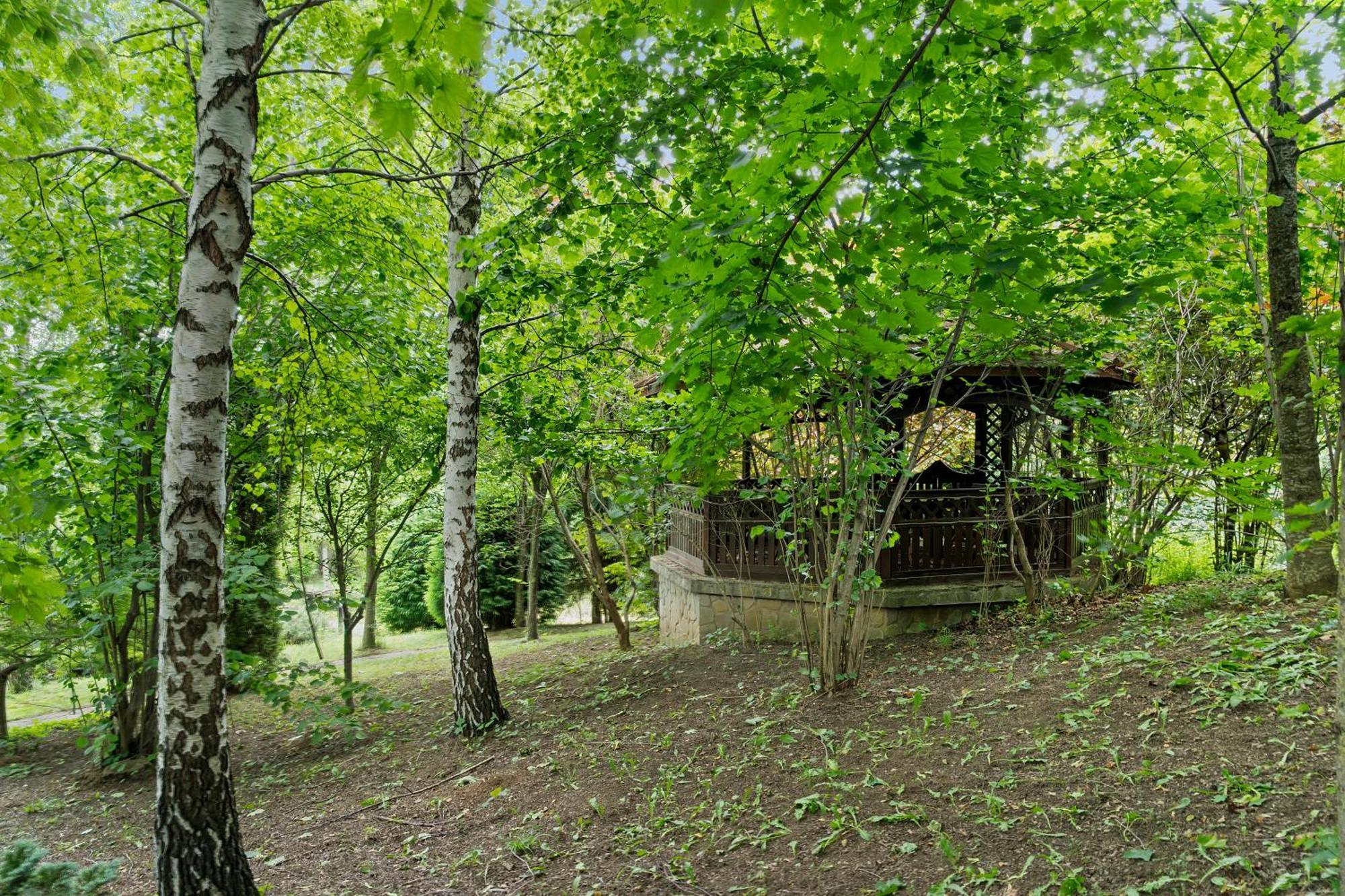 Wine Cellar Villa With Beautiful Garden In Sinaia - Busteni Poiana Tapului المظهر الخارجي الصورة