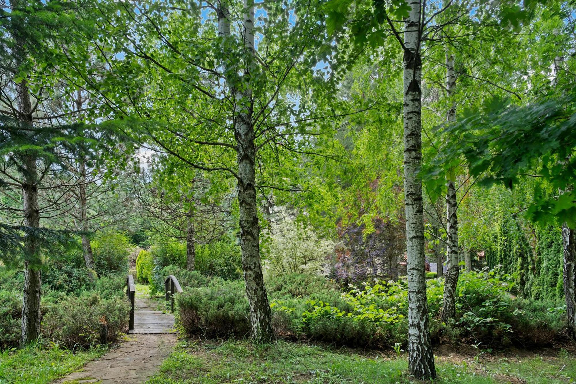 Wine Cellar Villa With Beautiful Garden In Sinaia - Busteni Poiana Tapului المظهر الخارجي الصورة