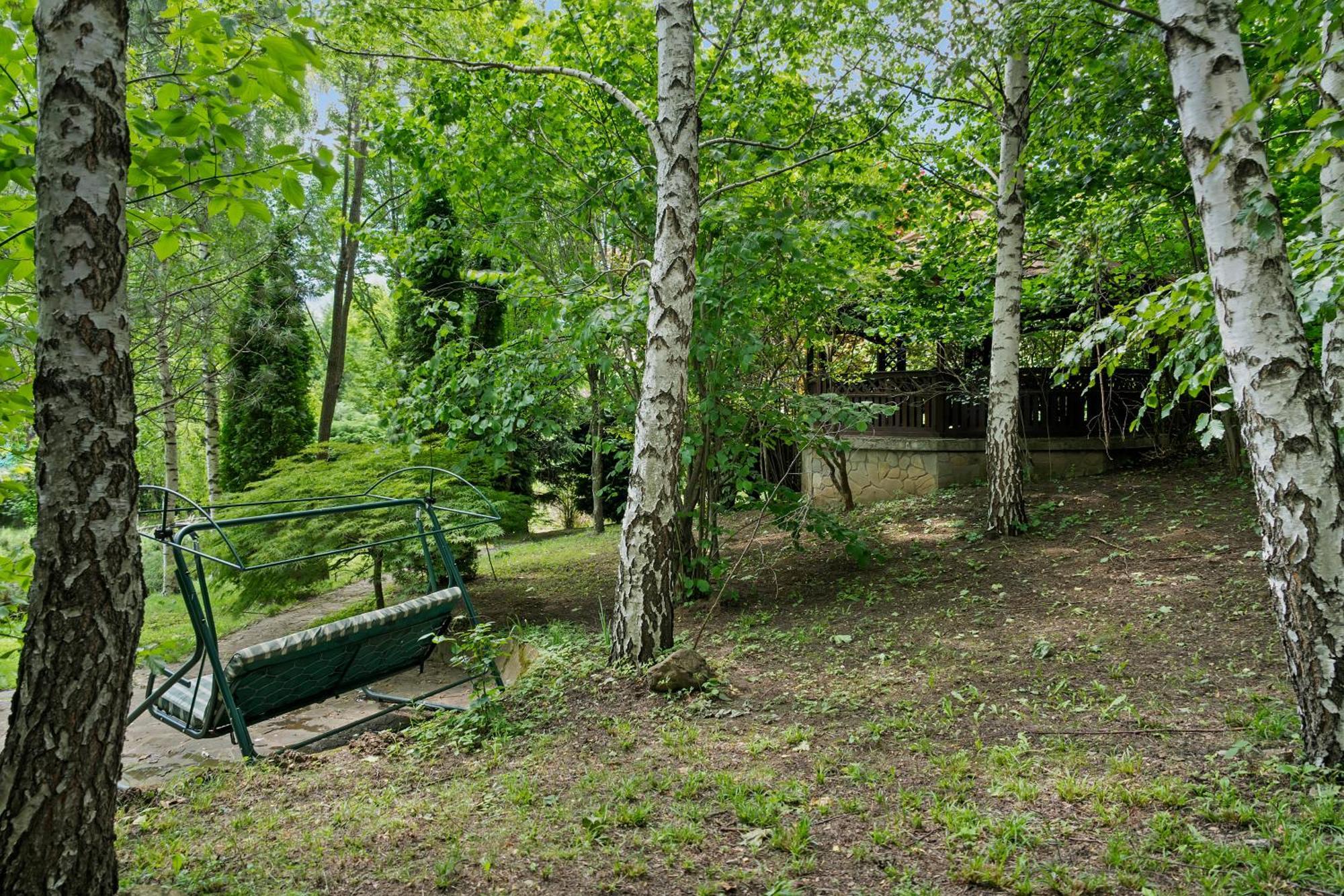 Wine Cellar Villa With Beautiful Garden In Sinaia - Busteni Poiana Tapului المظهر الخارجي الصورة
