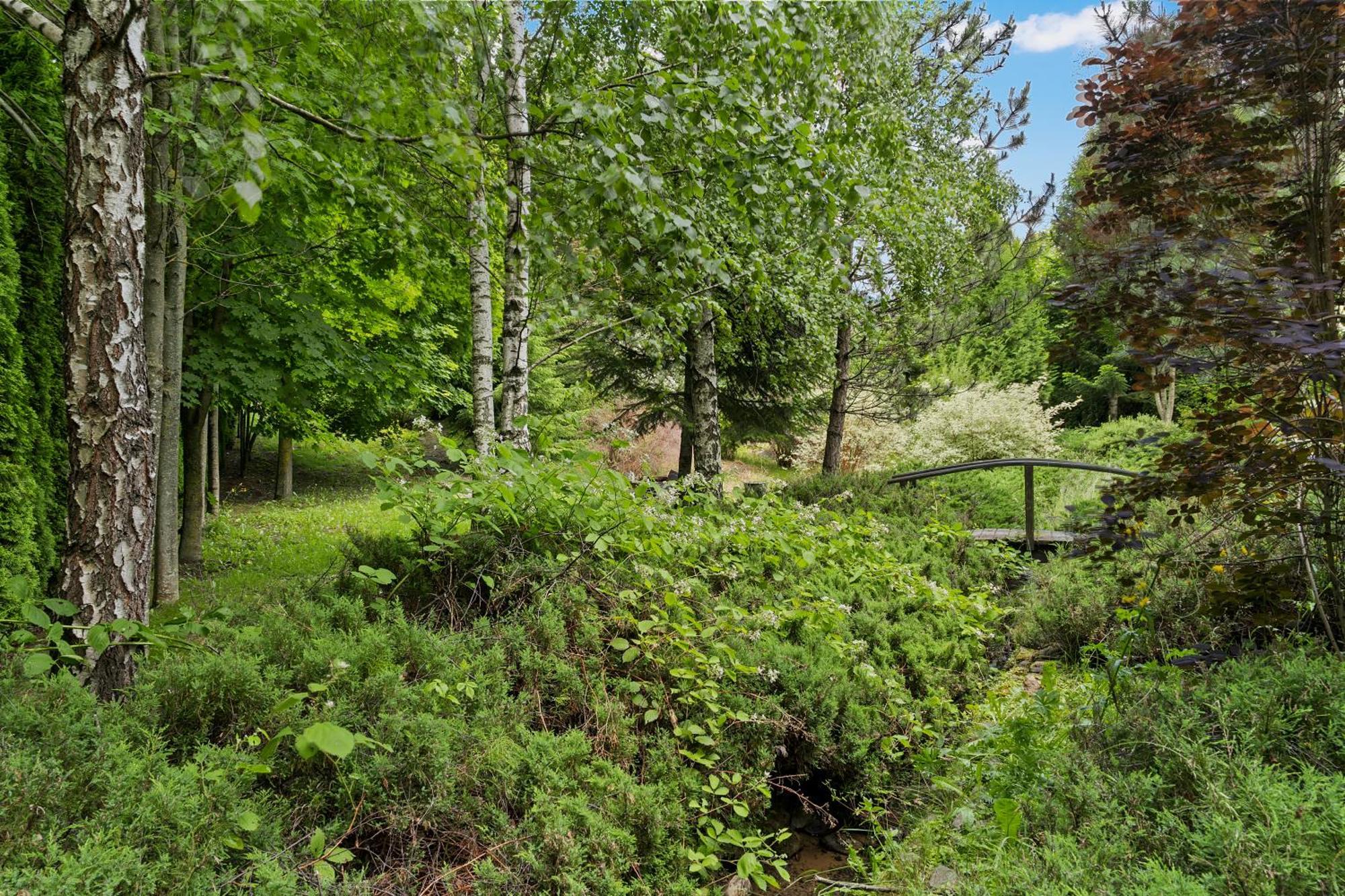 Wine Cellar Villa With Beautiful Garden In Sinaia - Busteni Poiana Tapului المظهر الخارجي الصورة